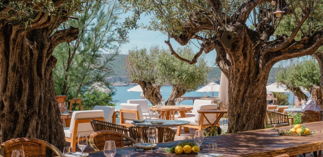 Luxury Mediterranean outdoor dining under olive trees with sea views, natural wood tables, and white cushioned lounge chairs.