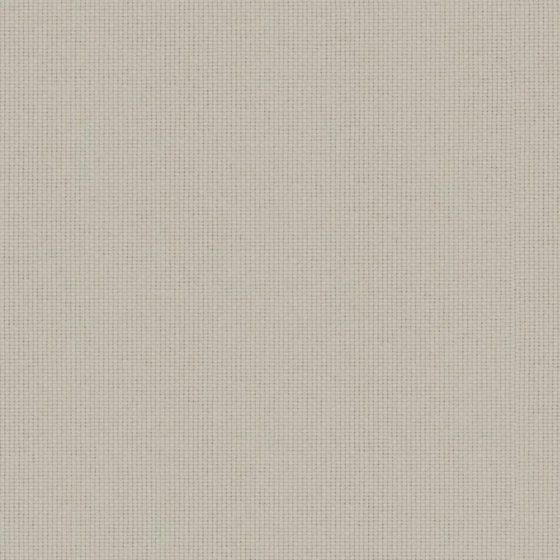 17 Chill Out Chincilla