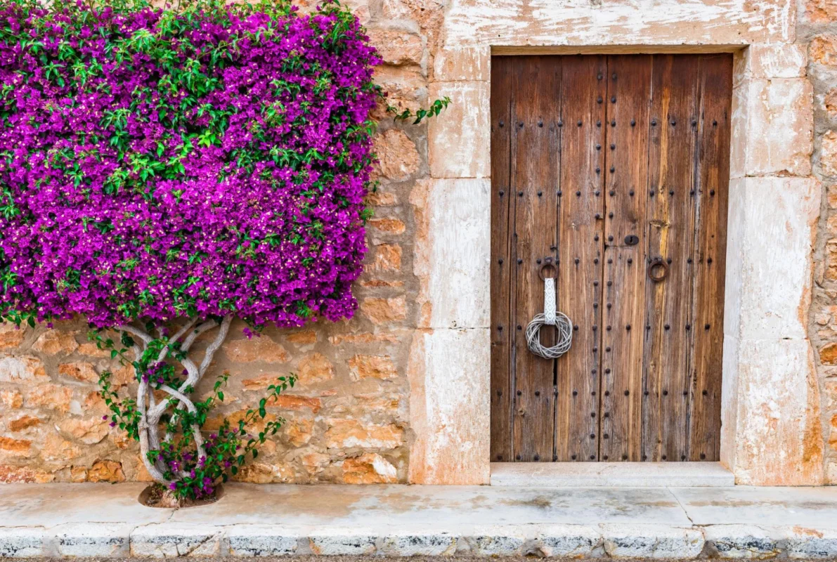 The Mediterranean Threshold: Benches, Pots & the Art of Arrival