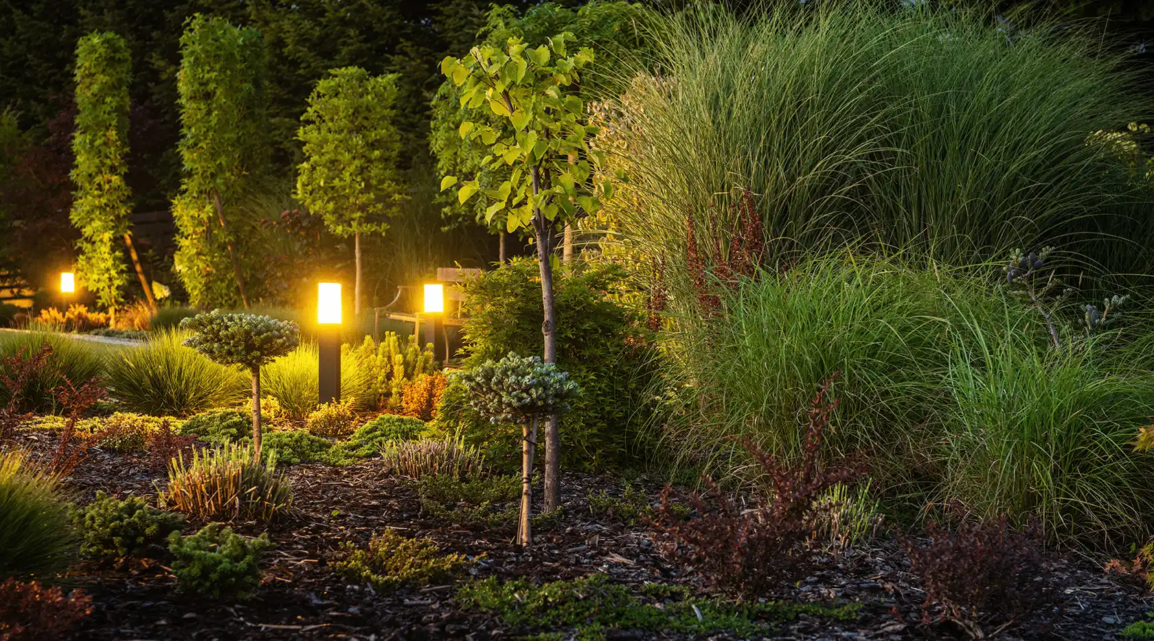 Outdoor Lighting: Landscape Highlighting and Plant Sculpting
